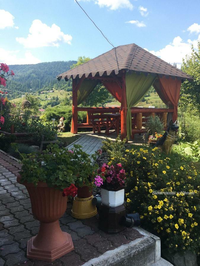 Відпочинок У Пронів Hotel Slavske Luaran gambar