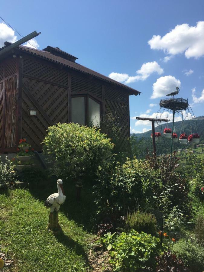 Відпочинок У Пронів Hotel Slavske Luaran gambar