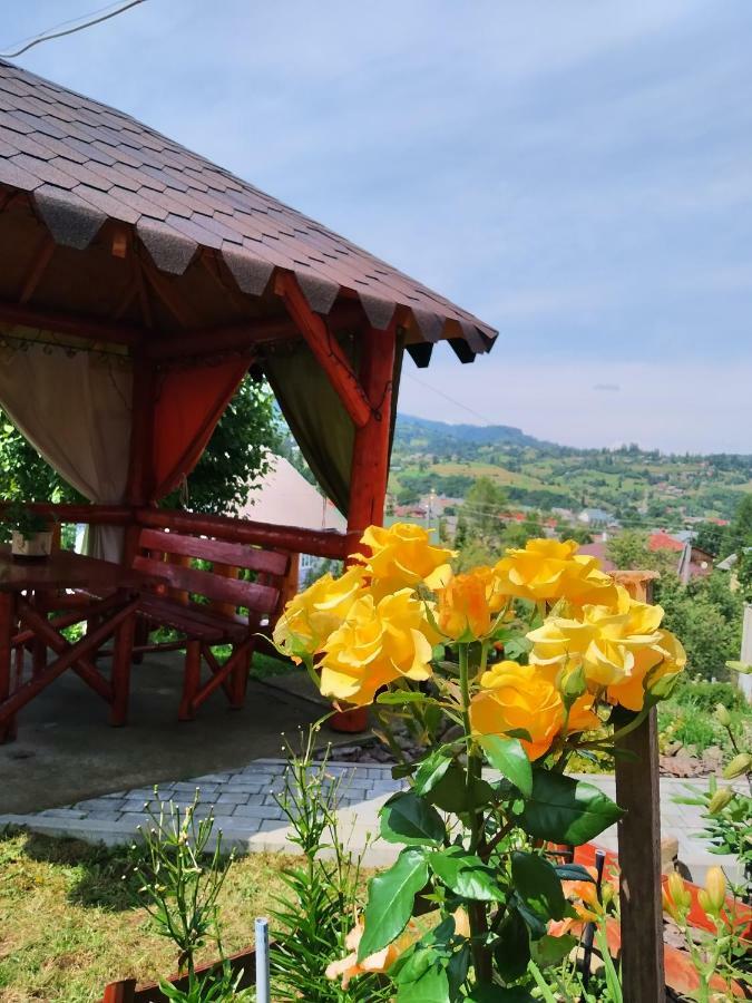 Відпочинок У Пронів Hotel Slavske Luaran gambar